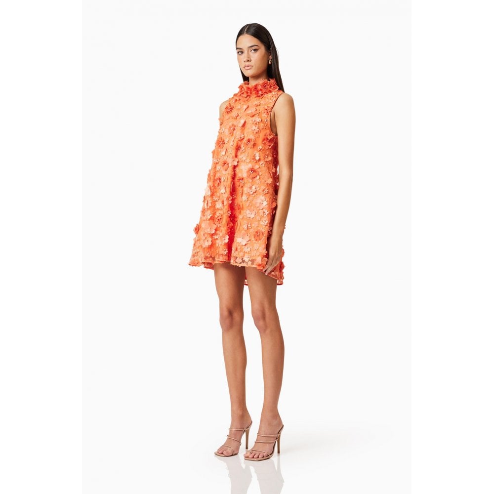 Bluebell High Neck Trapeze Dress in Orange