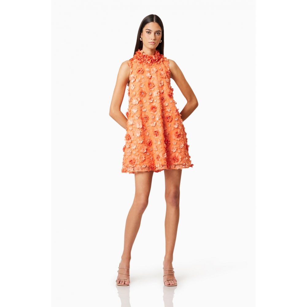 Bluebell High Neck Trapeze Dress in Orange
