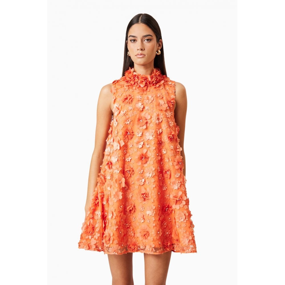 Bluebell High Neck Trapeze Dress in Orange