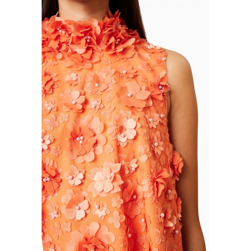 Bluebell High Neck Trapeze Dress in Orange