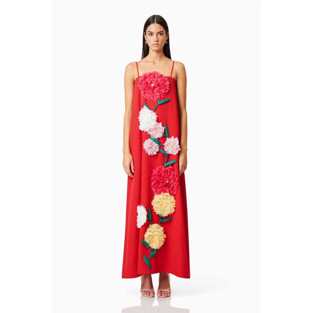 Buttercup Embroidered Maxi Dress In Red