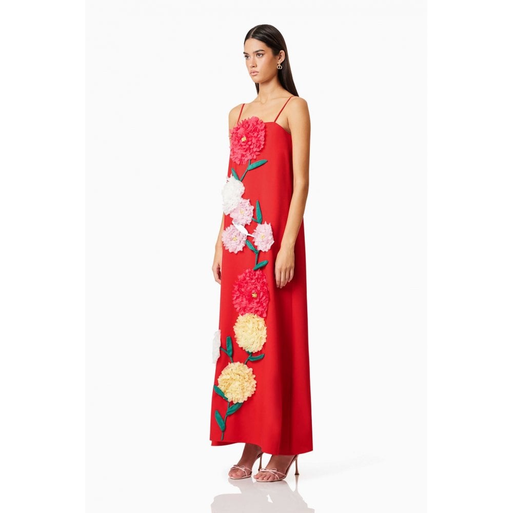 Buttercup Embroidered Maxi Dress In Red