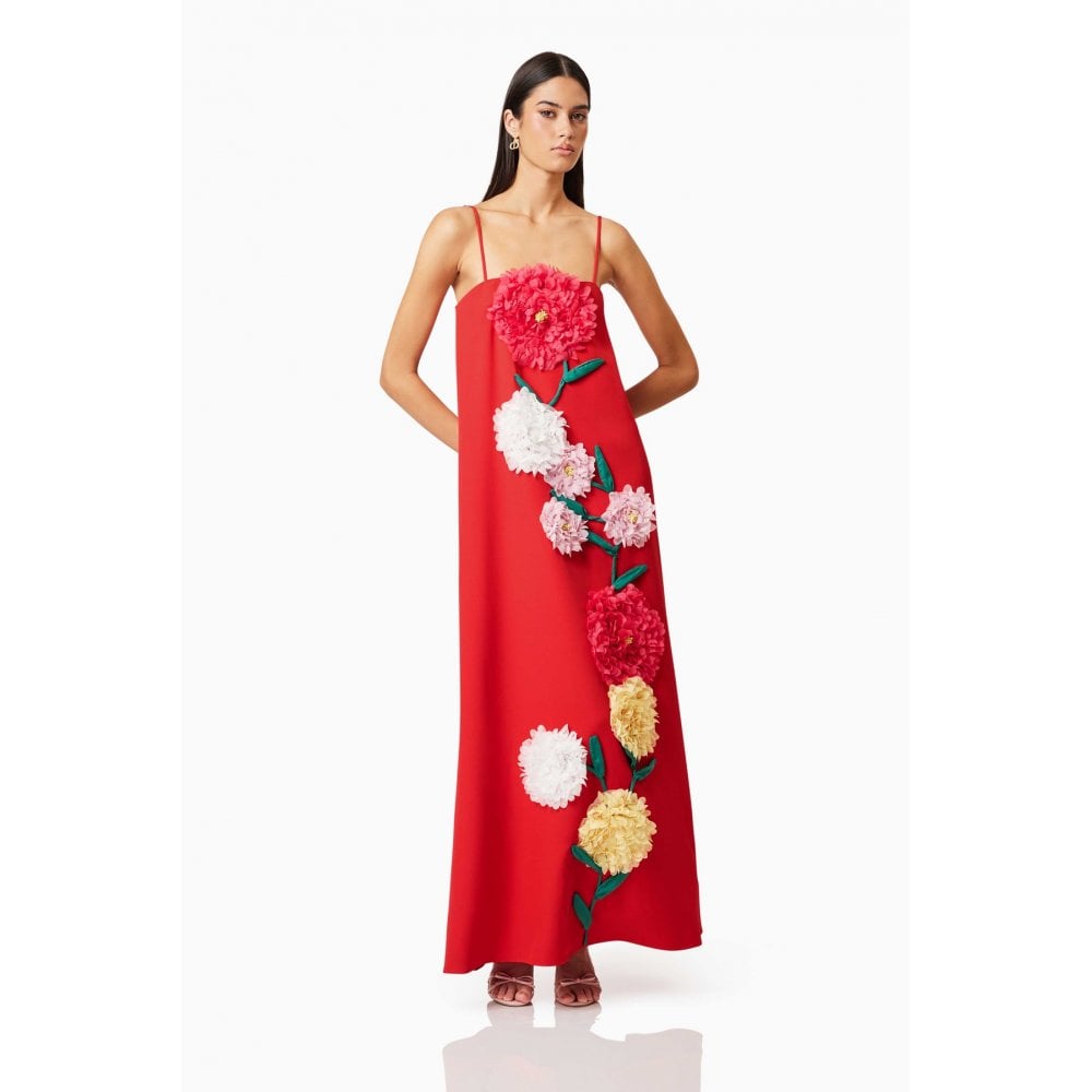 Buttercup Embroidered Maxi Dress In Red