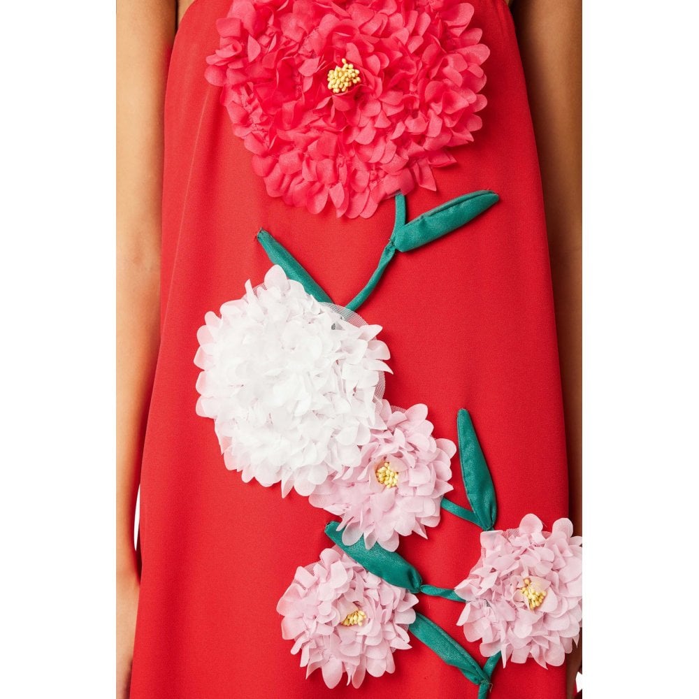 Buttercup Embroidered Maxi Dress In Red