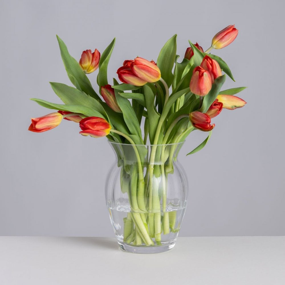 Florabundance Tulip Vase