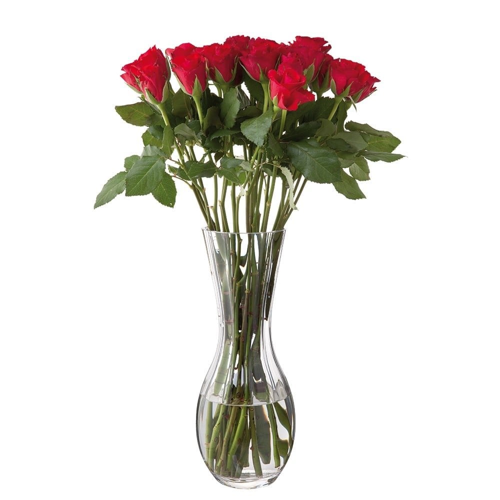 Florabundance Rose Vase