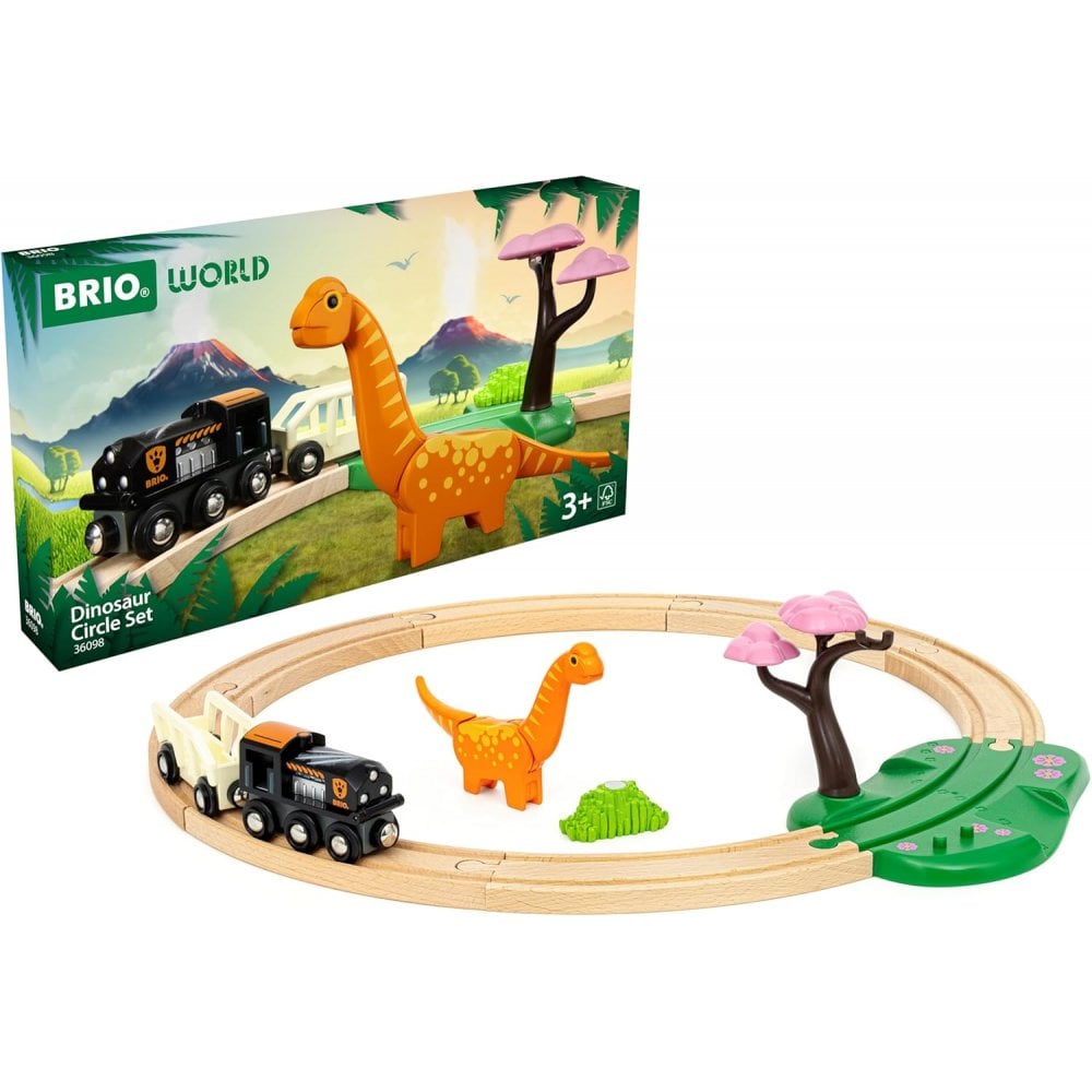 Dinosaur Circle Set