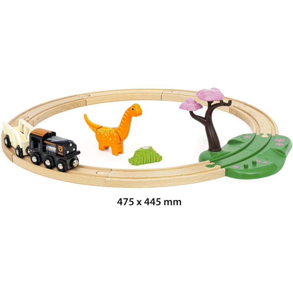 Dinosaur Circle Set