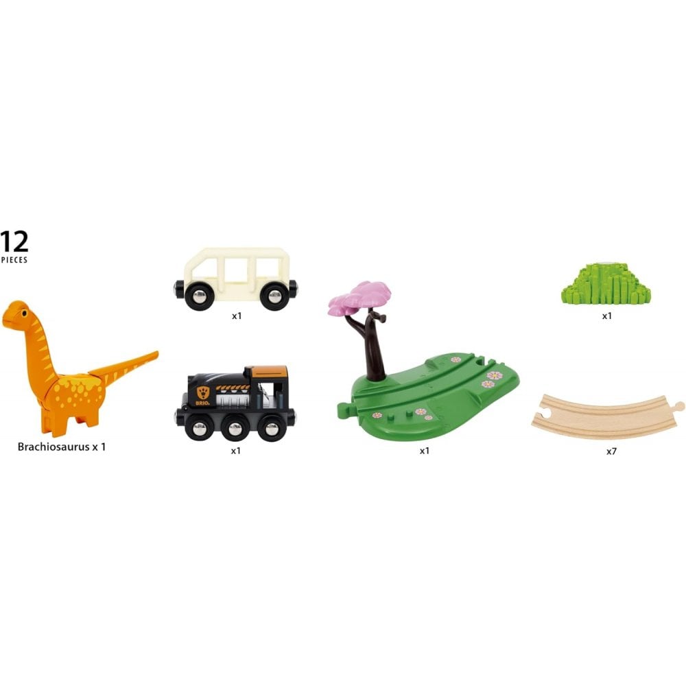 Dinosaur Circle Set