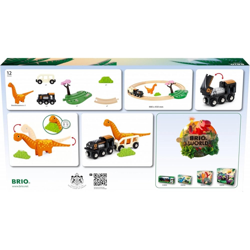 Dinosaur Circle Set