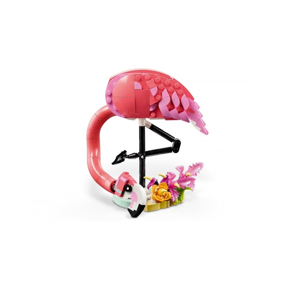 Wild Animal: Pink Flamingo