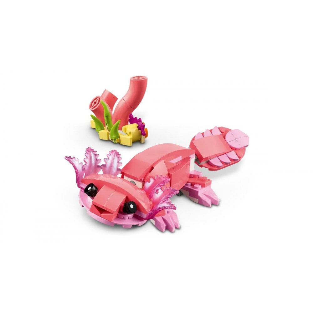 Wild Animal: Pink Flamingo