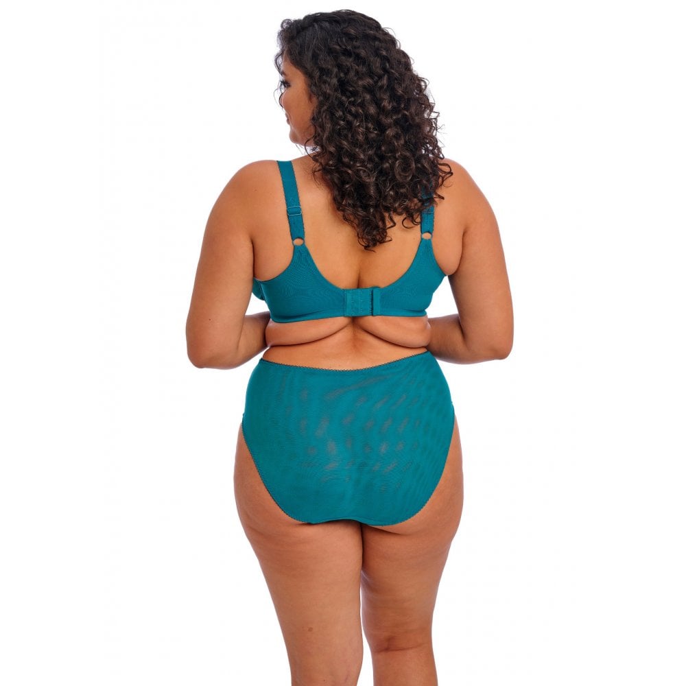 Zarla High Leg Brief
