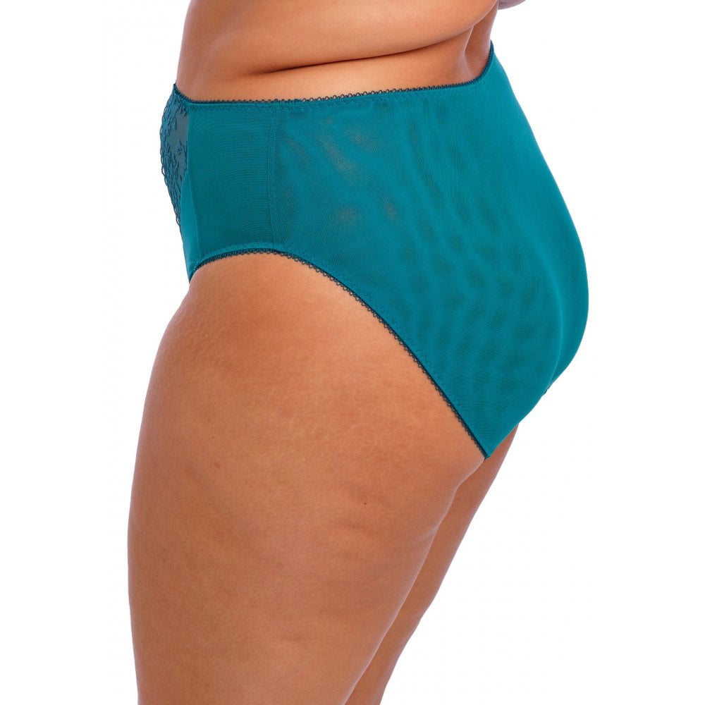 Zarla High Leg Brief