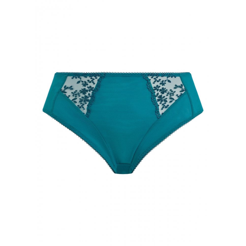 Zarla High Leg Brief