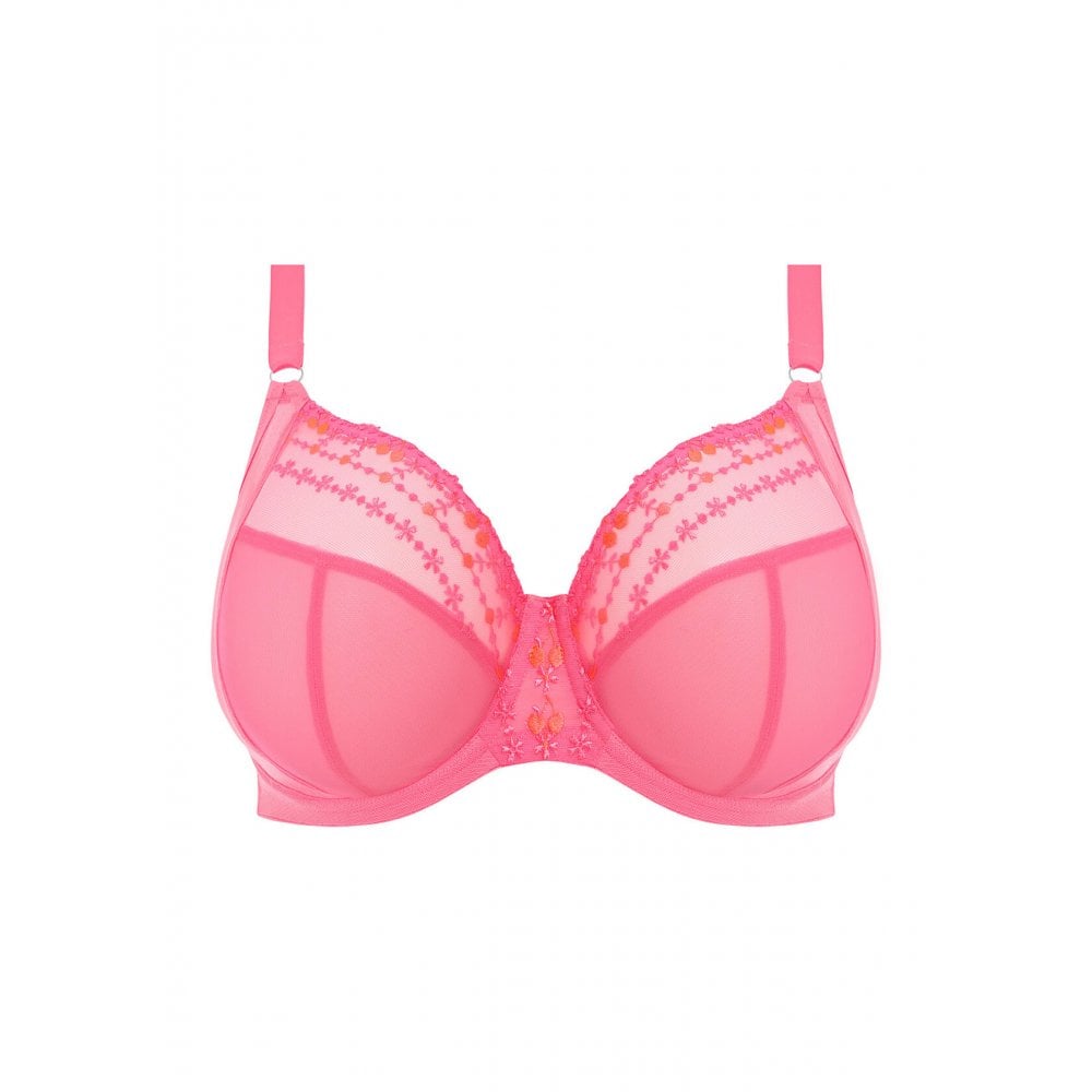 Matilda UW Plunge Bra