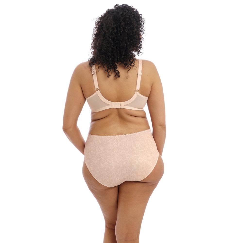 Morgan Full Brief