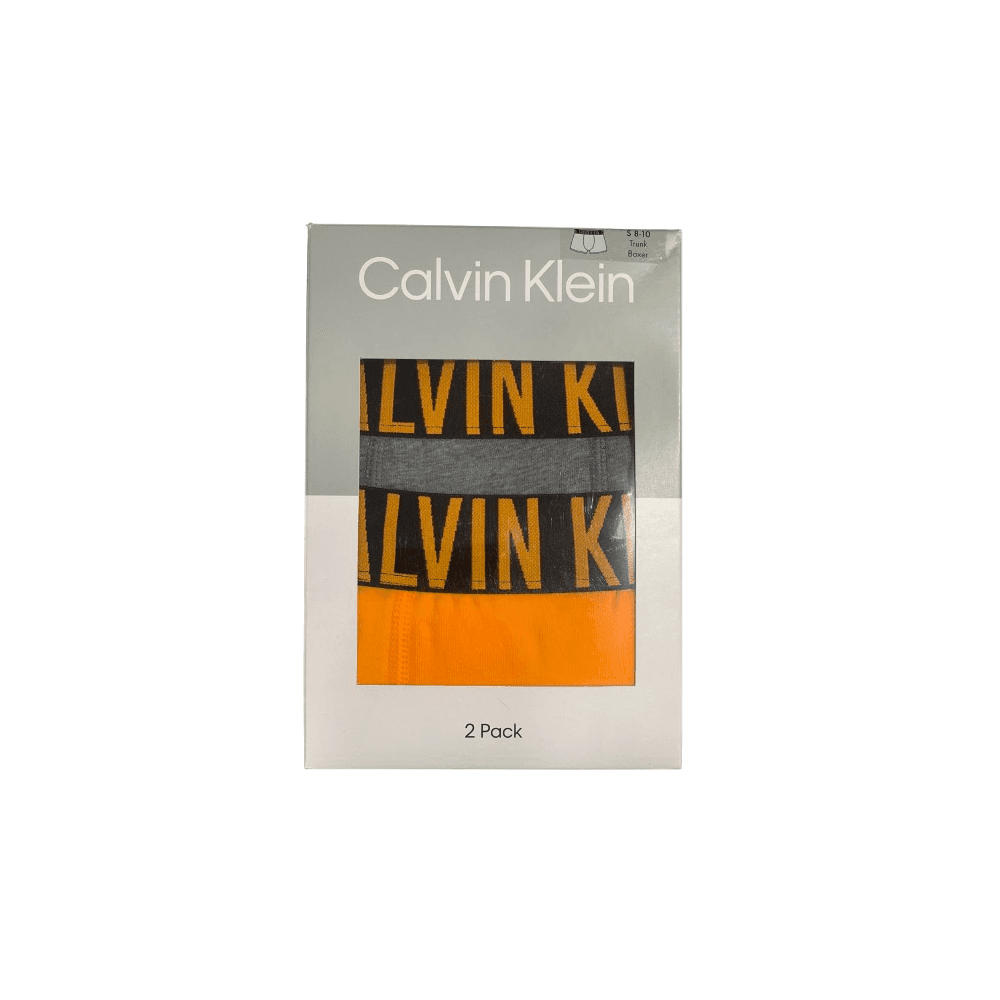 2 Pack Boys Klein Boxer Trunks