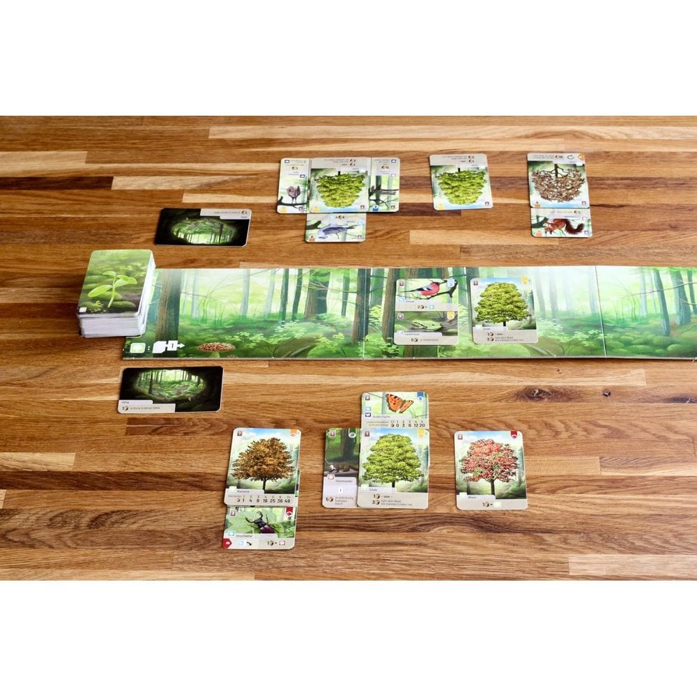 Forest Shuffle