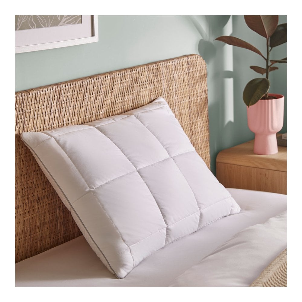 Natural Latex Foam Pillow