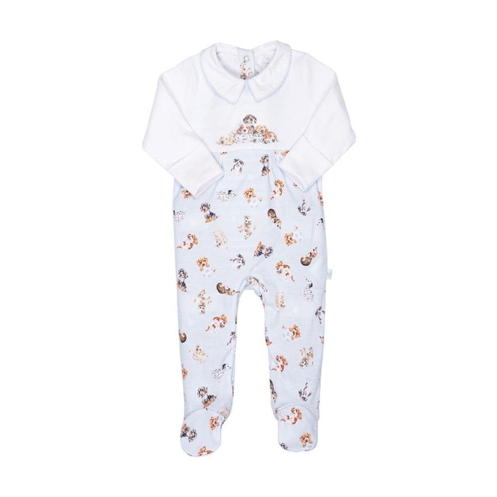 Little Paws Placement Print Babygrow