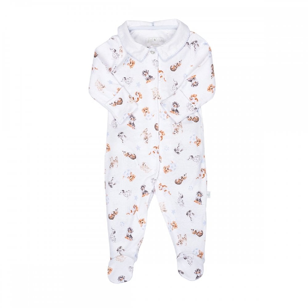 Little Paws Printed Babygrow