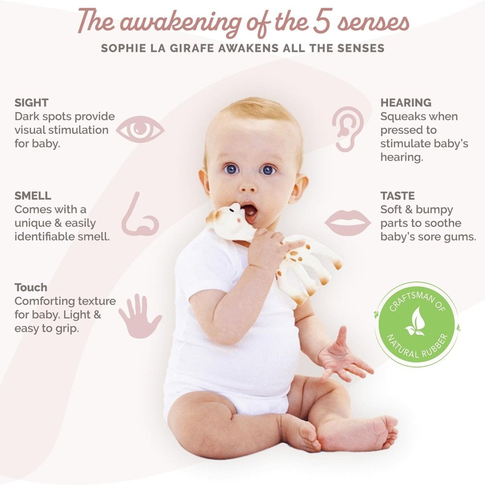 Sophiesticated The Teether Set