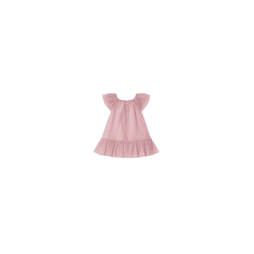 Newborn Girl Tulle Dress
