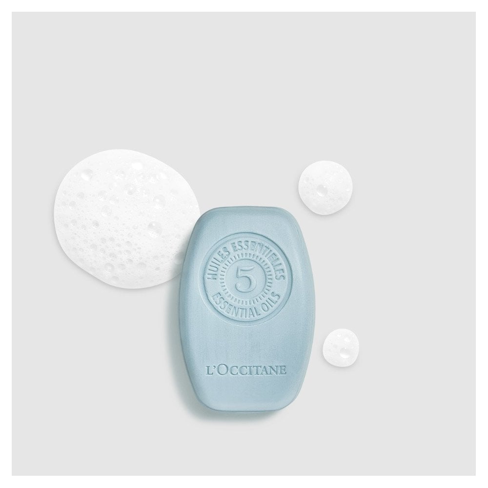 Purifying Freshness Solid Shampoo 60g