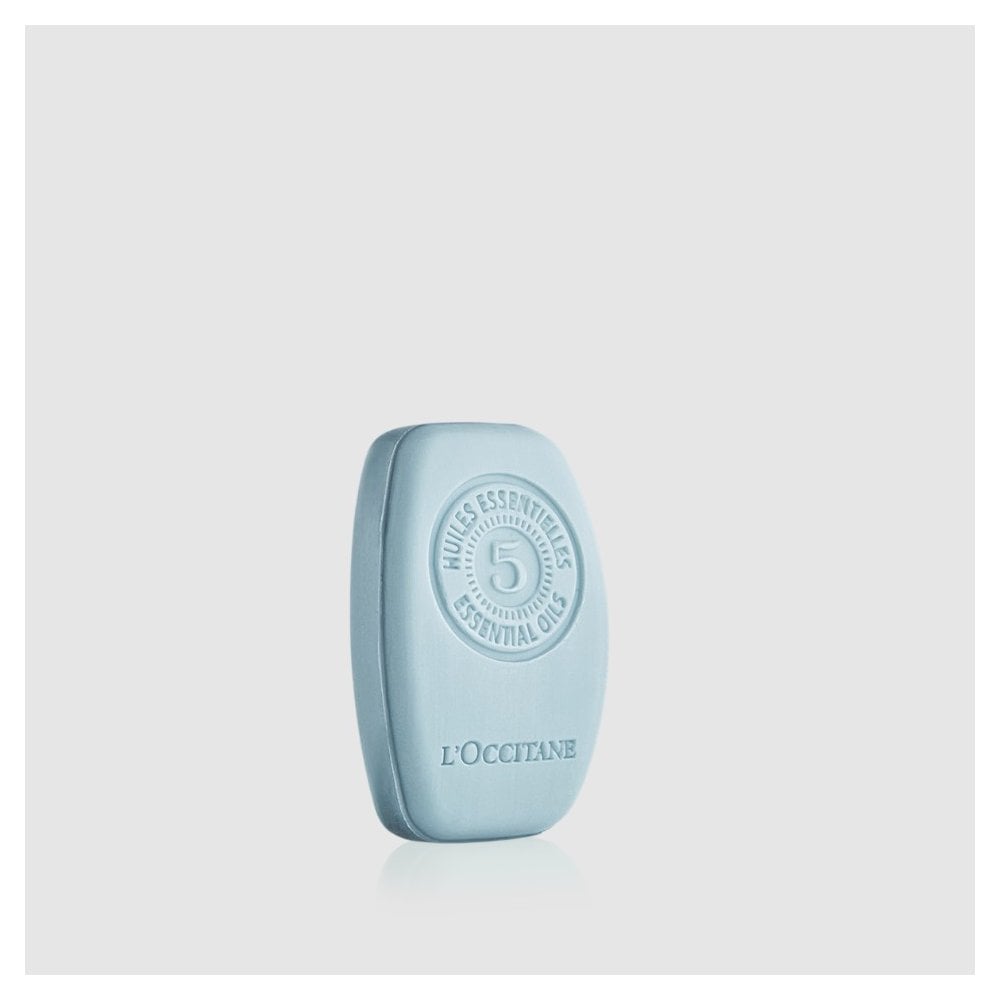 Purifying Freshness Solid Shampoo 60g