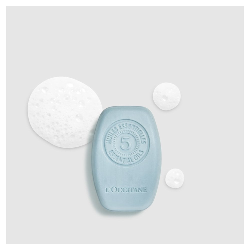 Purifying Freshness Solid Shampoo 60g