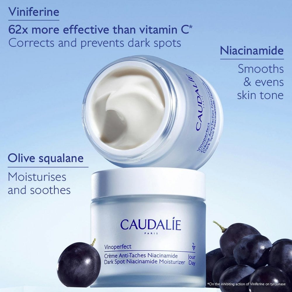 Dark Spot Niacinamide Moisturizer Refill