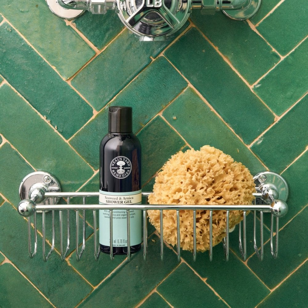 Seaweed & Arnica Shower Gel