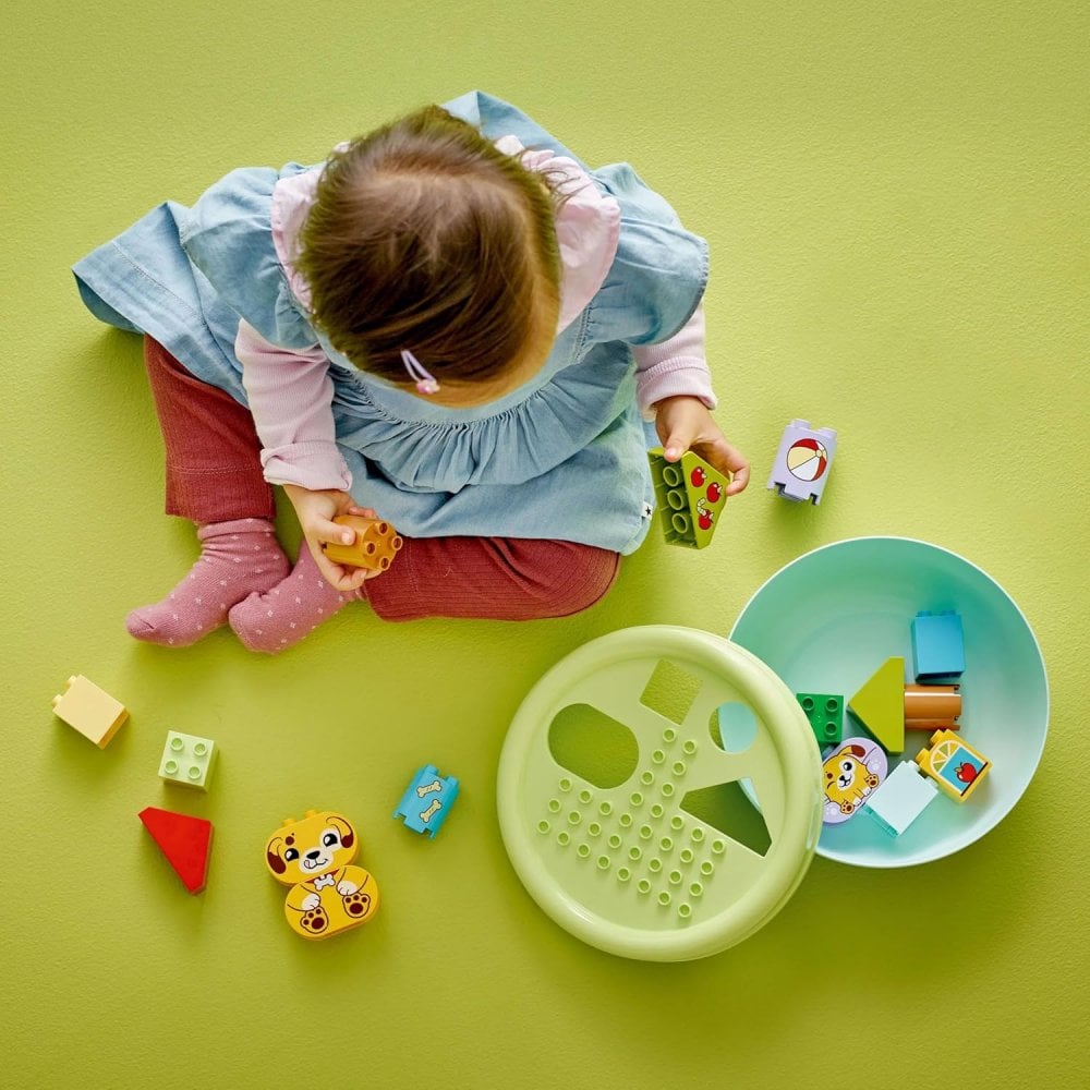 Shape Sorter: Puppy House