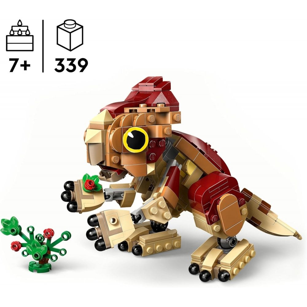 Baby Dinosaur Dolores: Aquilops