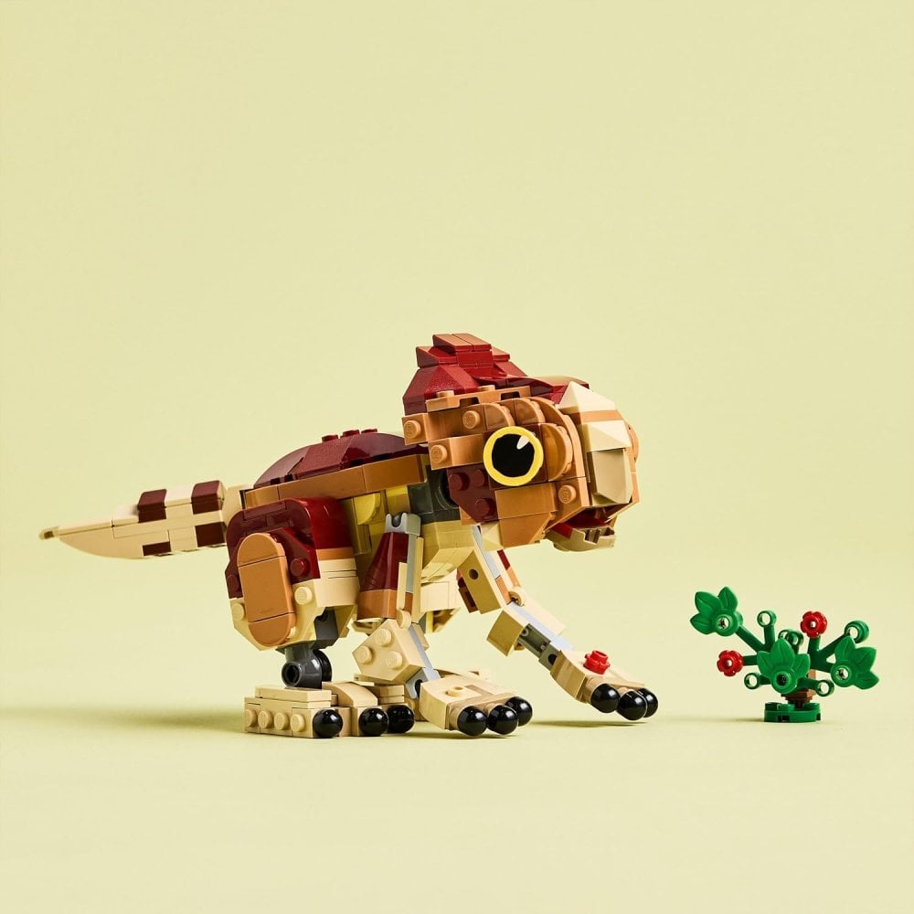 Baby Dinosaur Dolores: Aquilops