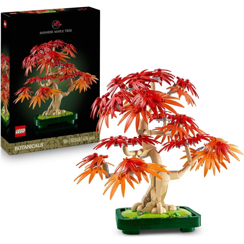 Japanese Red Maple Bonsai Tree