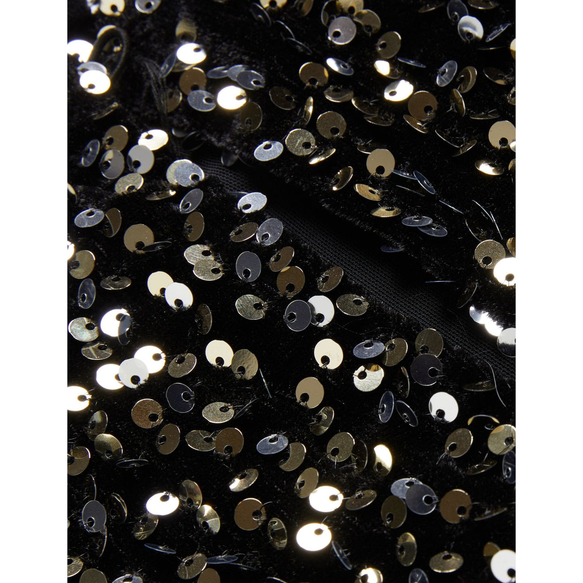 Zarhaaa Sequined Velvet Short Sleeve Top