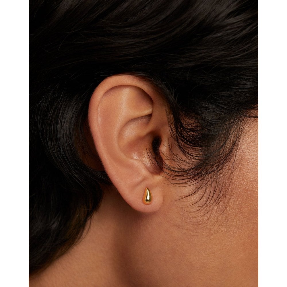 Drop Earrings