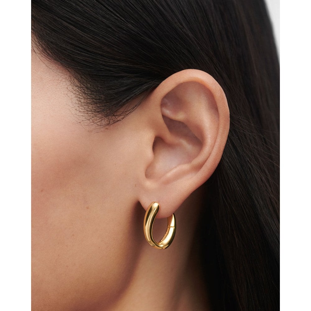 Helix Hoops