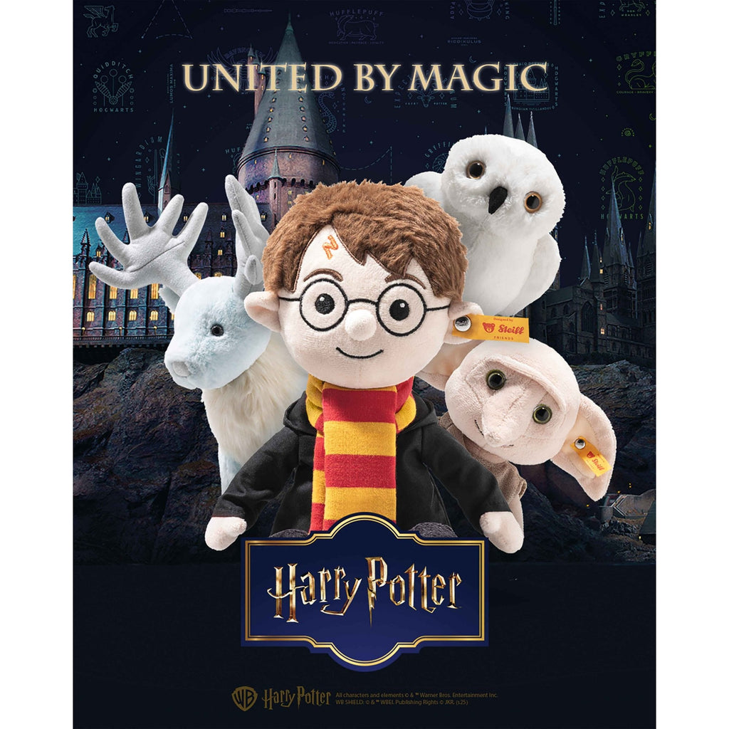 Harry Potter - Multicoloured
