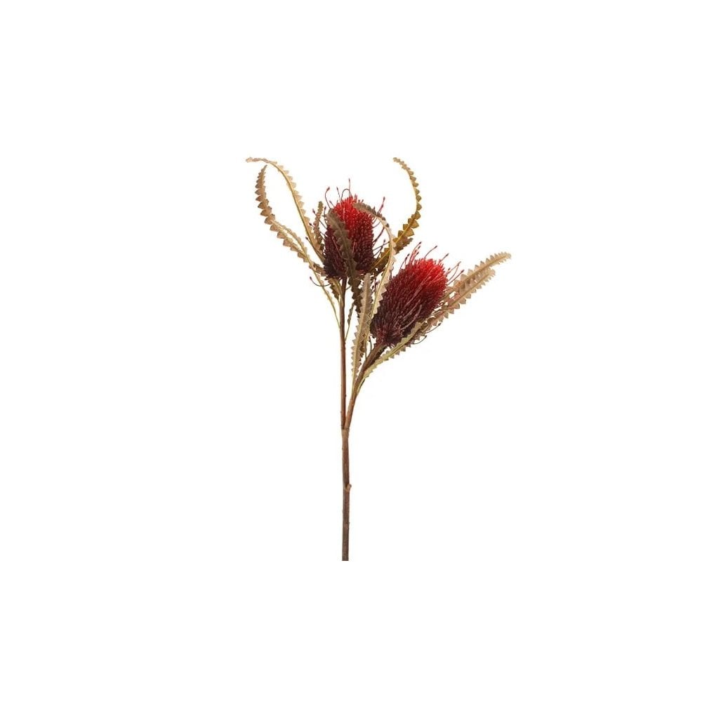 Dried Image Protea Spray 2 heads