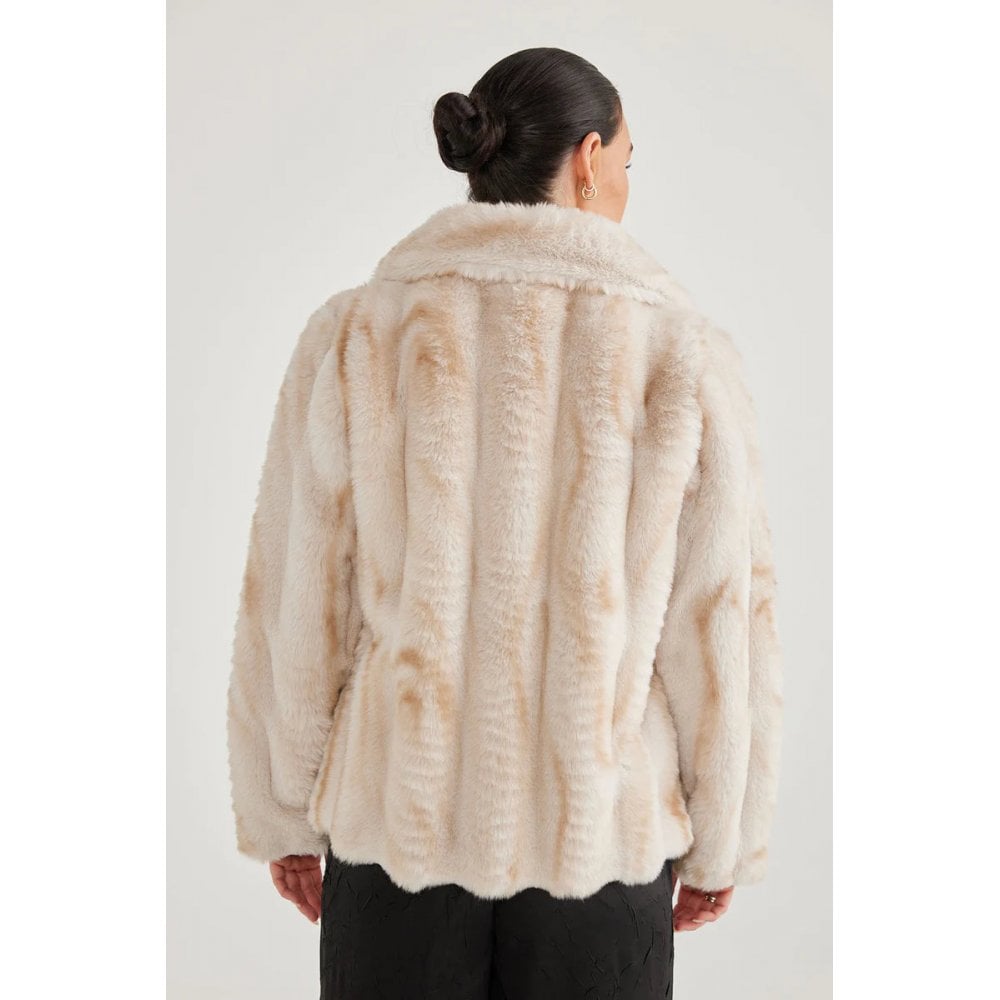 Steinway Jacket