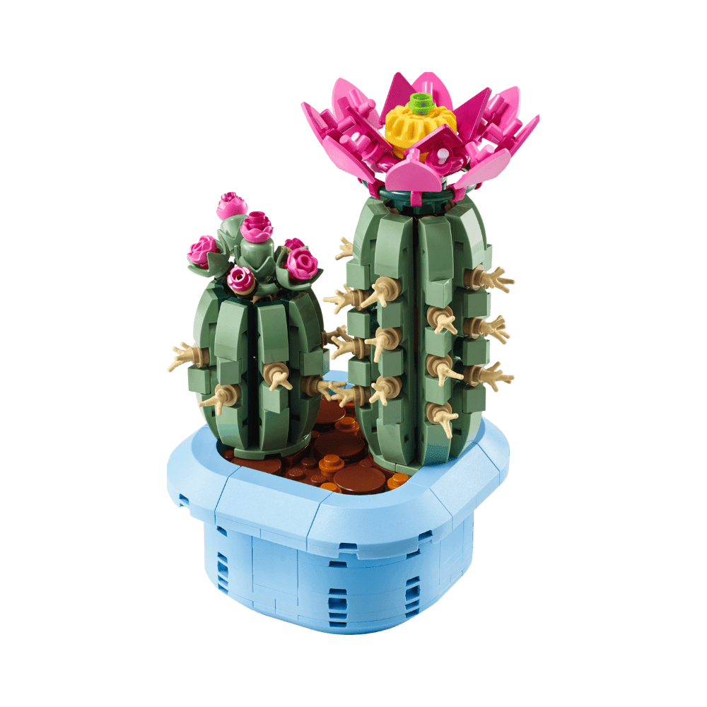 Flowering Cactus