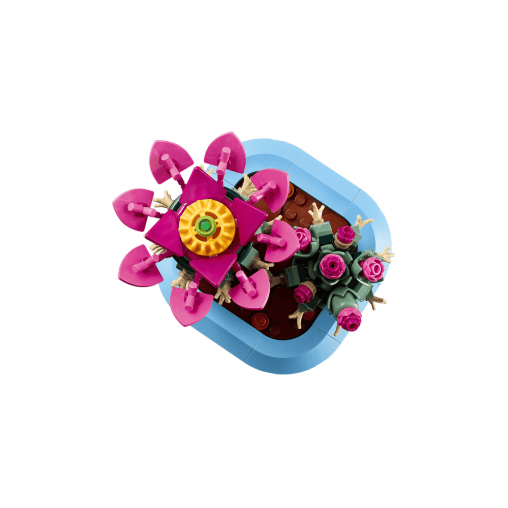 Flowering Cactus