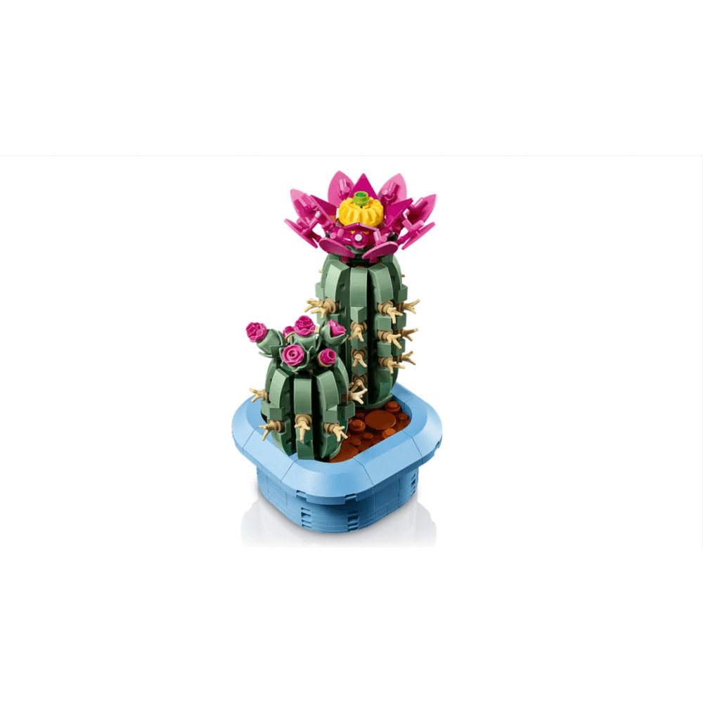 Flowering Cactus