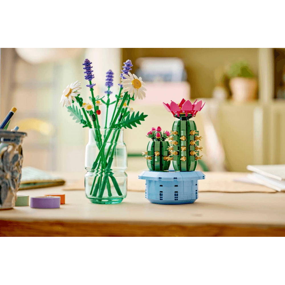 Flowering Cactus