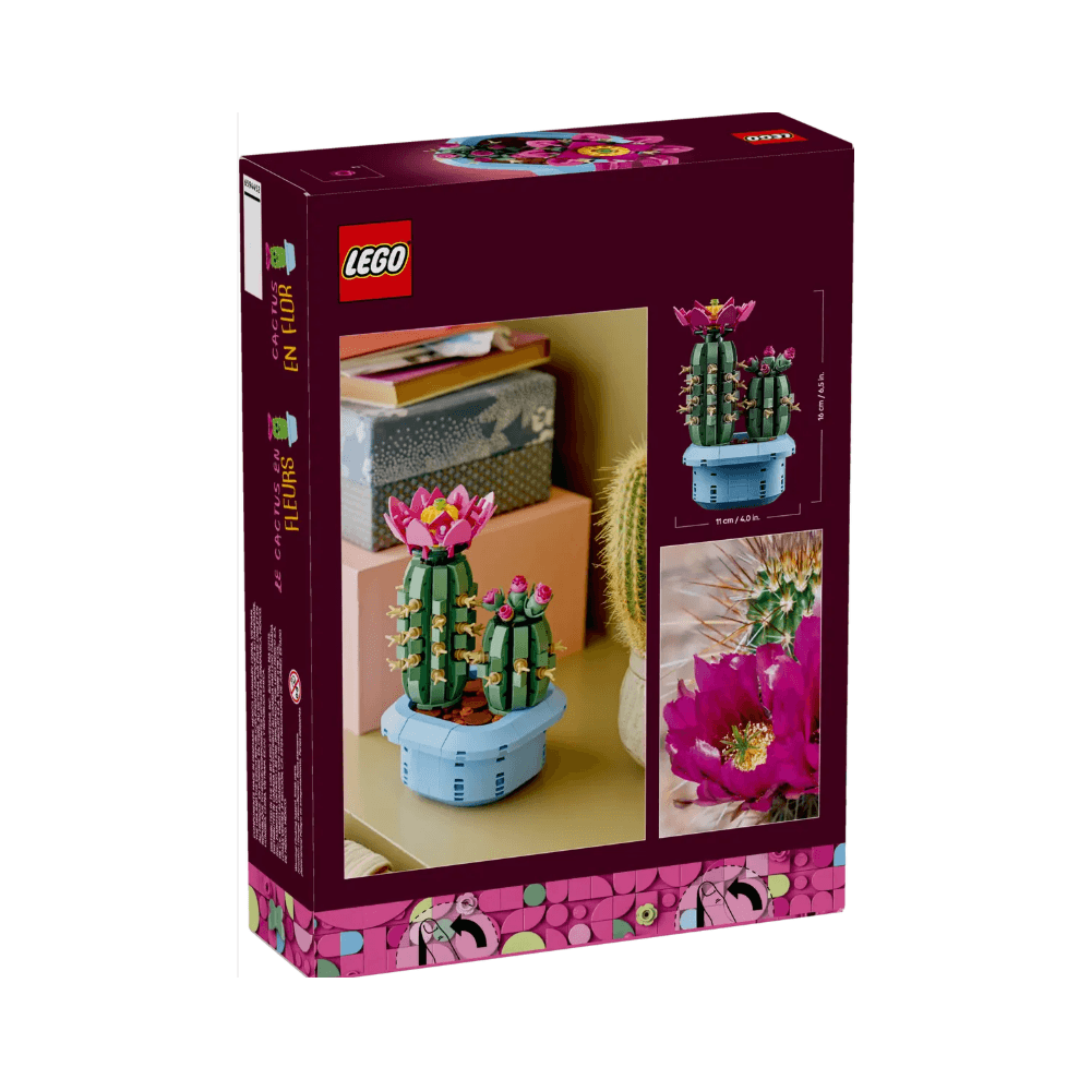 Flowering Cactus
