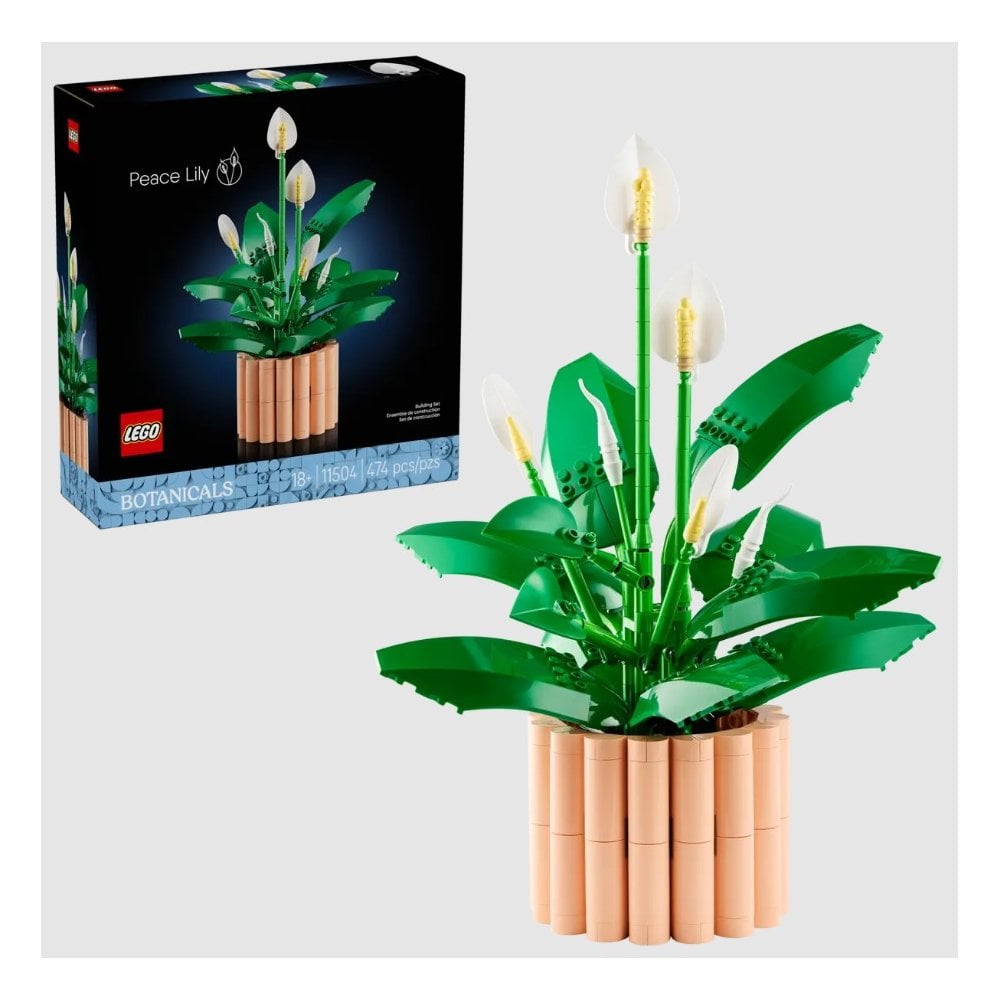 Peace Lily 11504