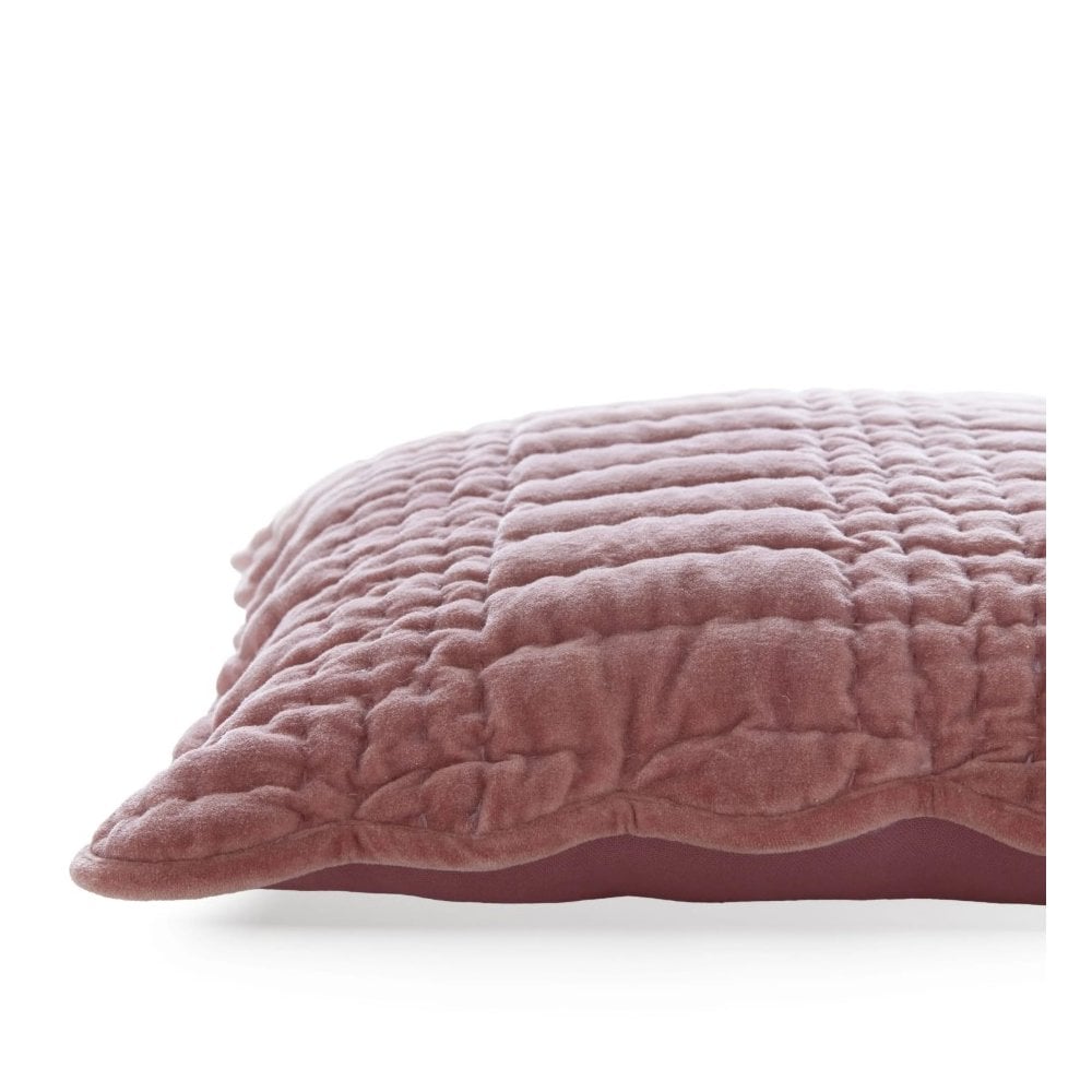 Brady Scalloped Cushion